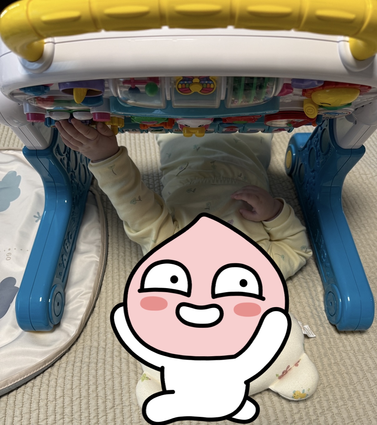 에듀테이블 사용 사진